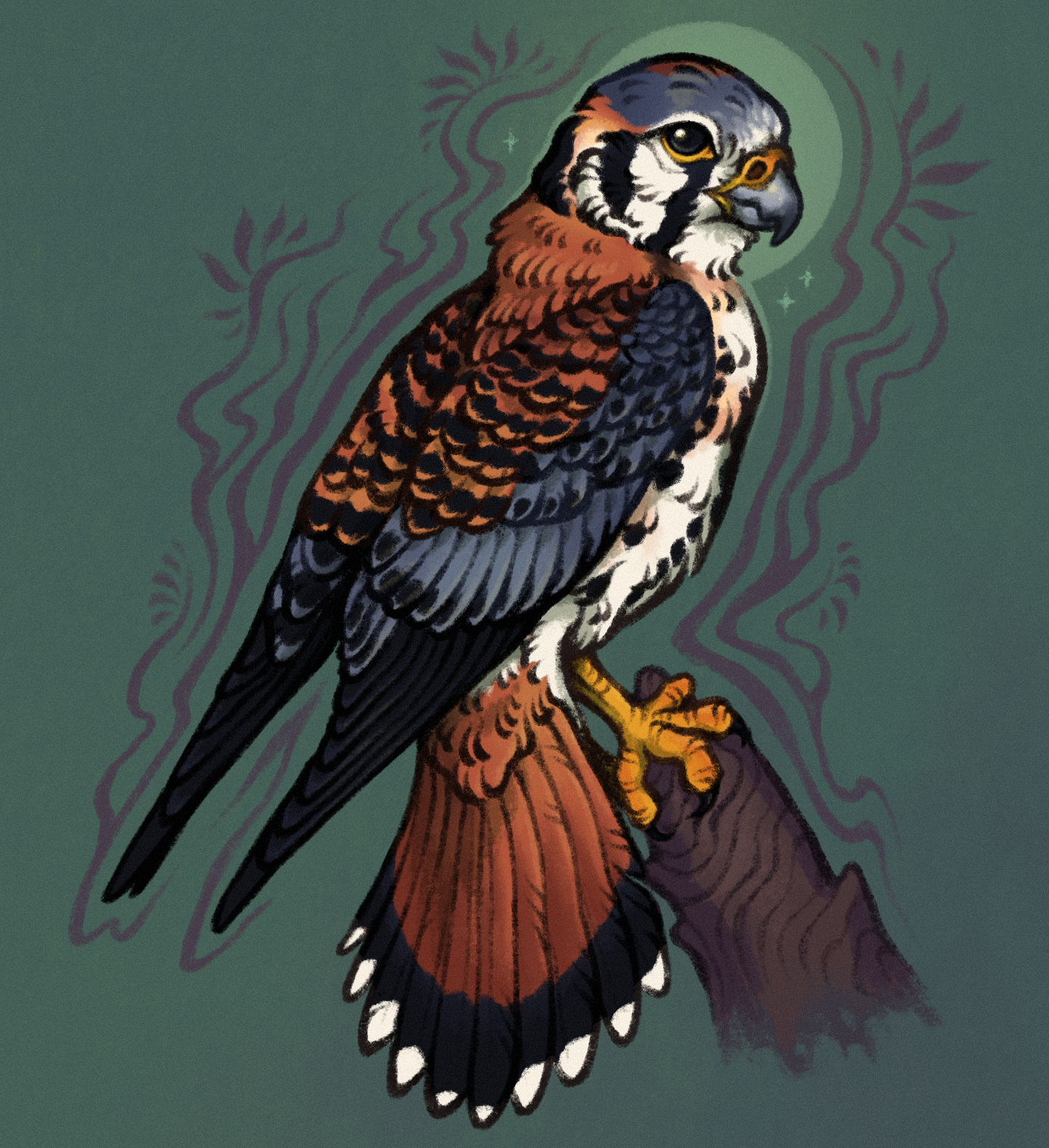 drawing of a american kestrel