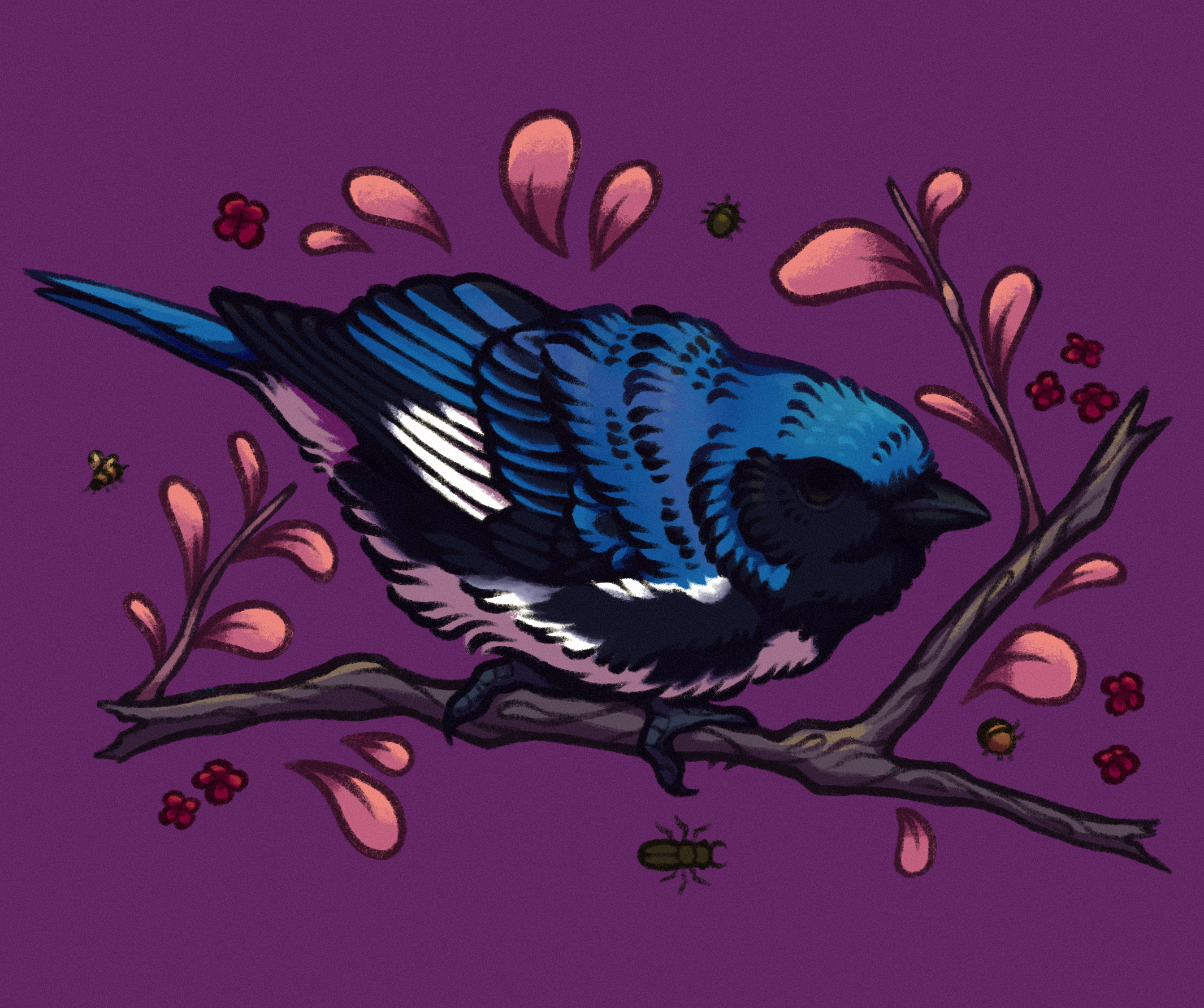 drawing of a black-throated blue warbler