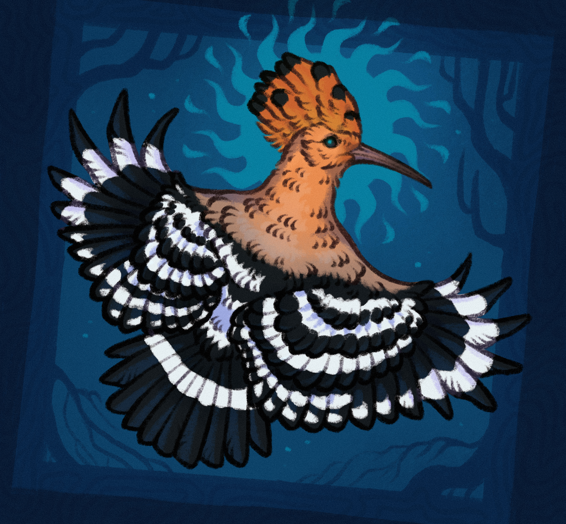 drawing of a Hoopoe