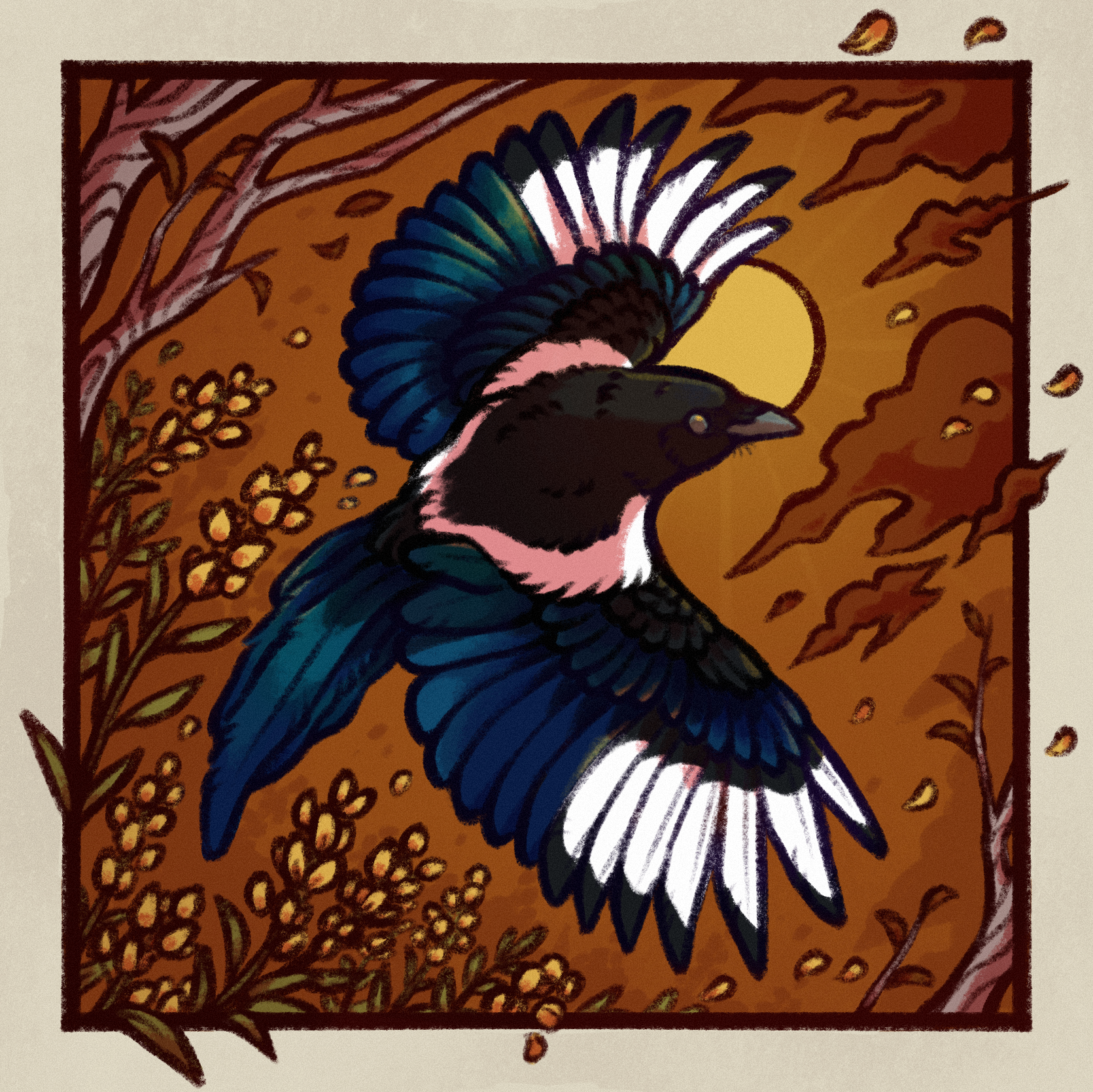 drawing of a black-billed magpie