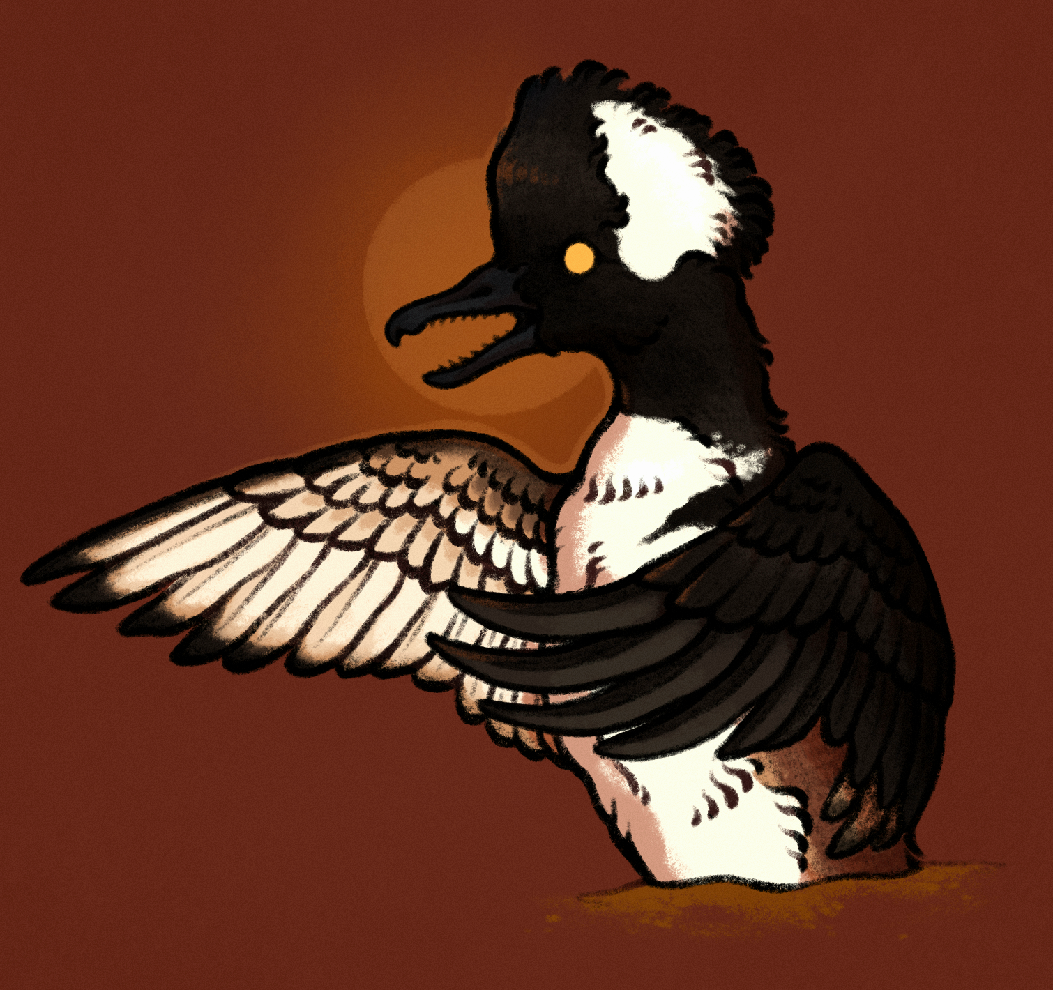 drawing of a hooded merganser