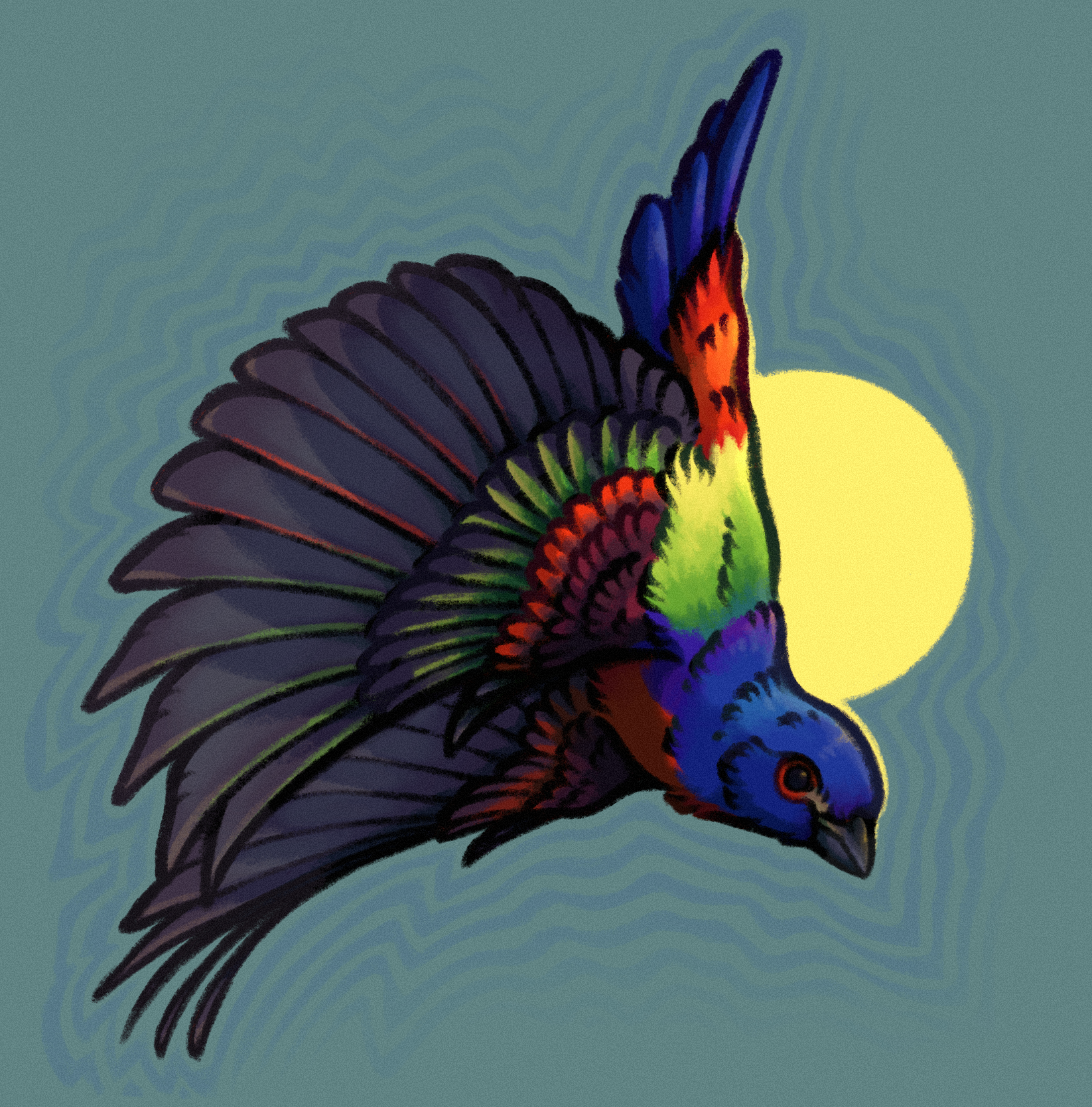 drawing of painted bunting