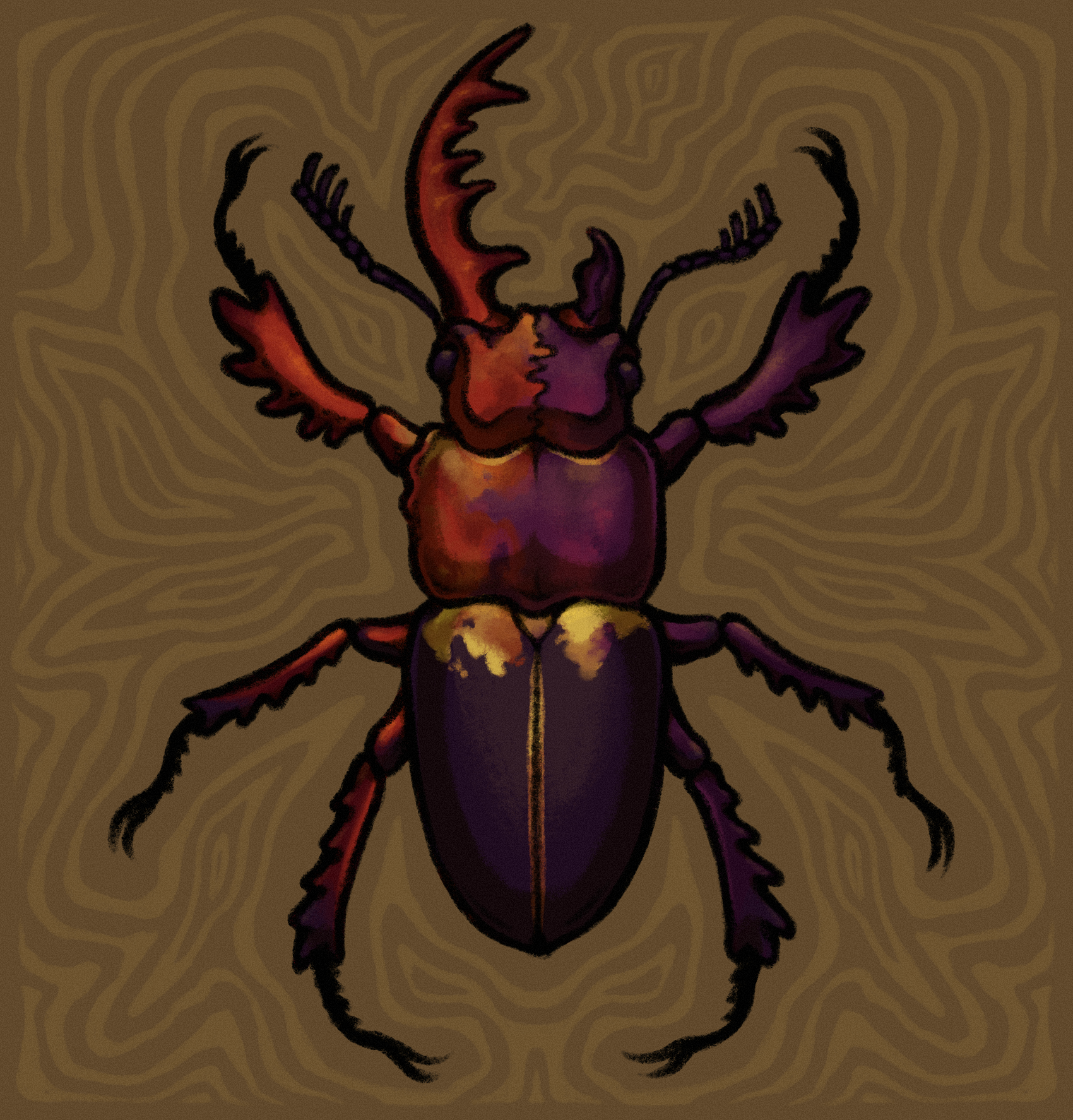 a drawing of a bilaterial gynandromorph stag beetle