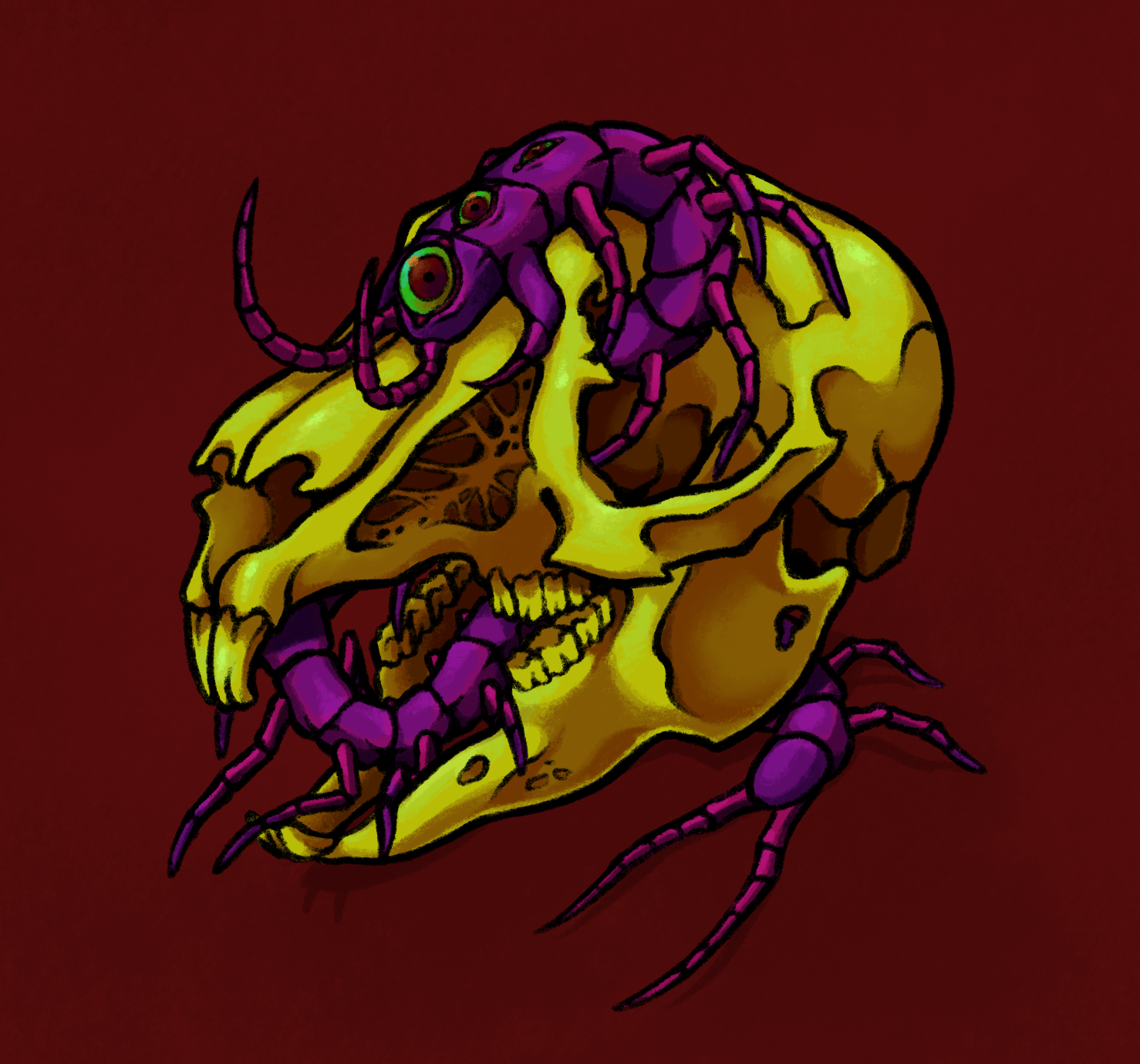 A drawing of a centipede crawling around a rabbit skull