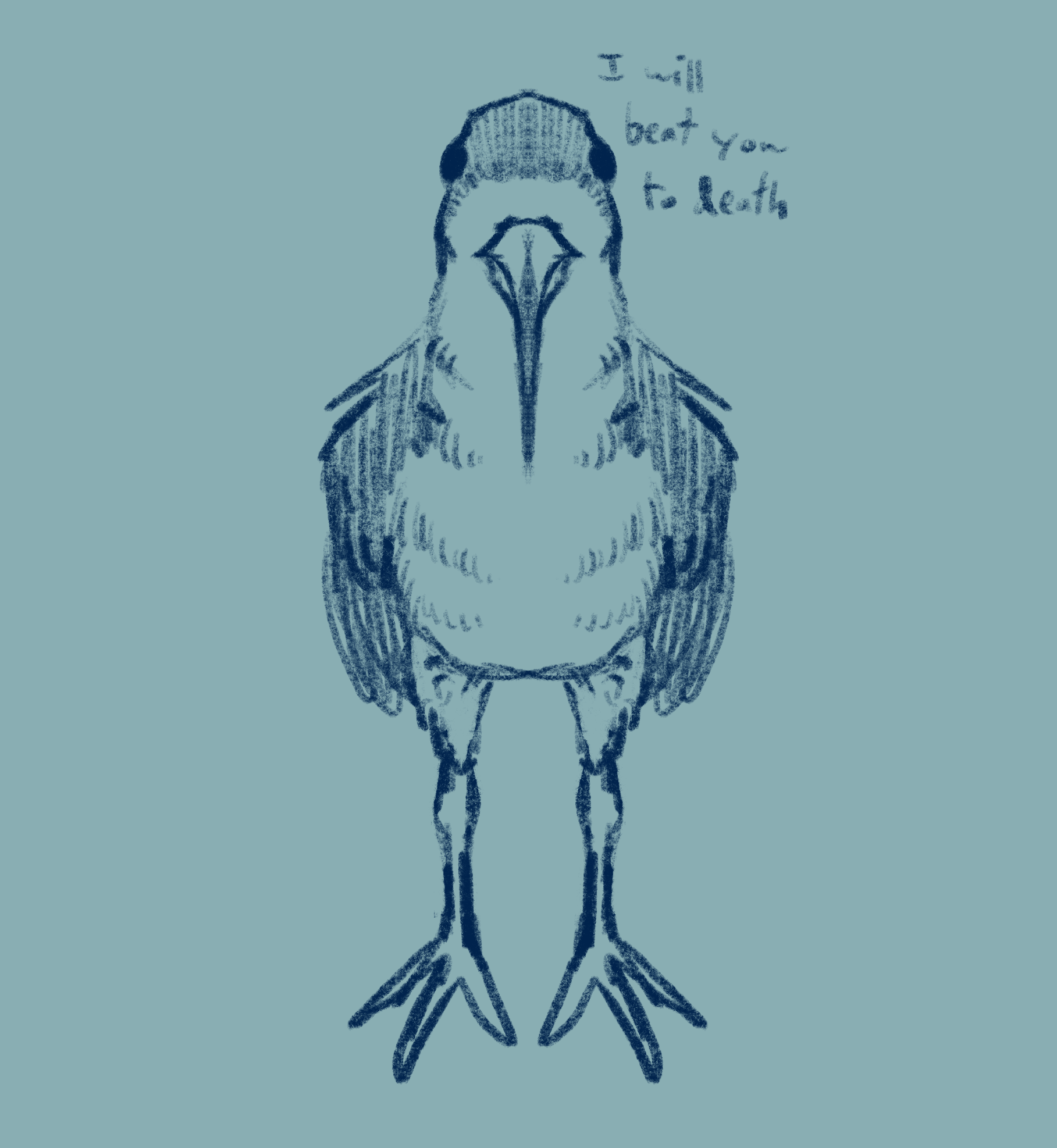 front-facing black skimmer threatening to beat you to death