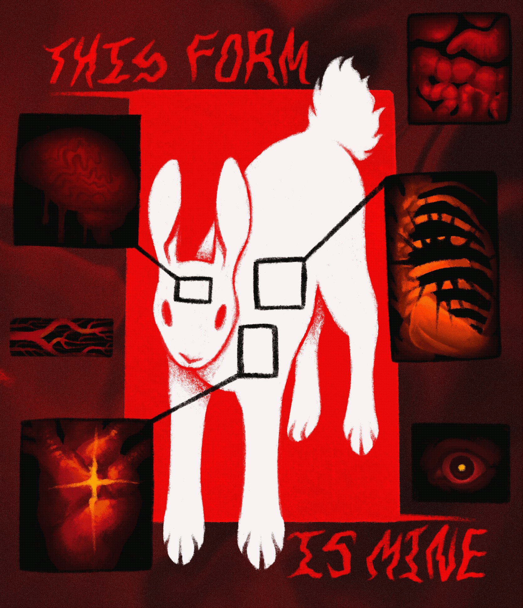 this form is mine, rabbit