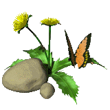 gif of a butterfly on a plant