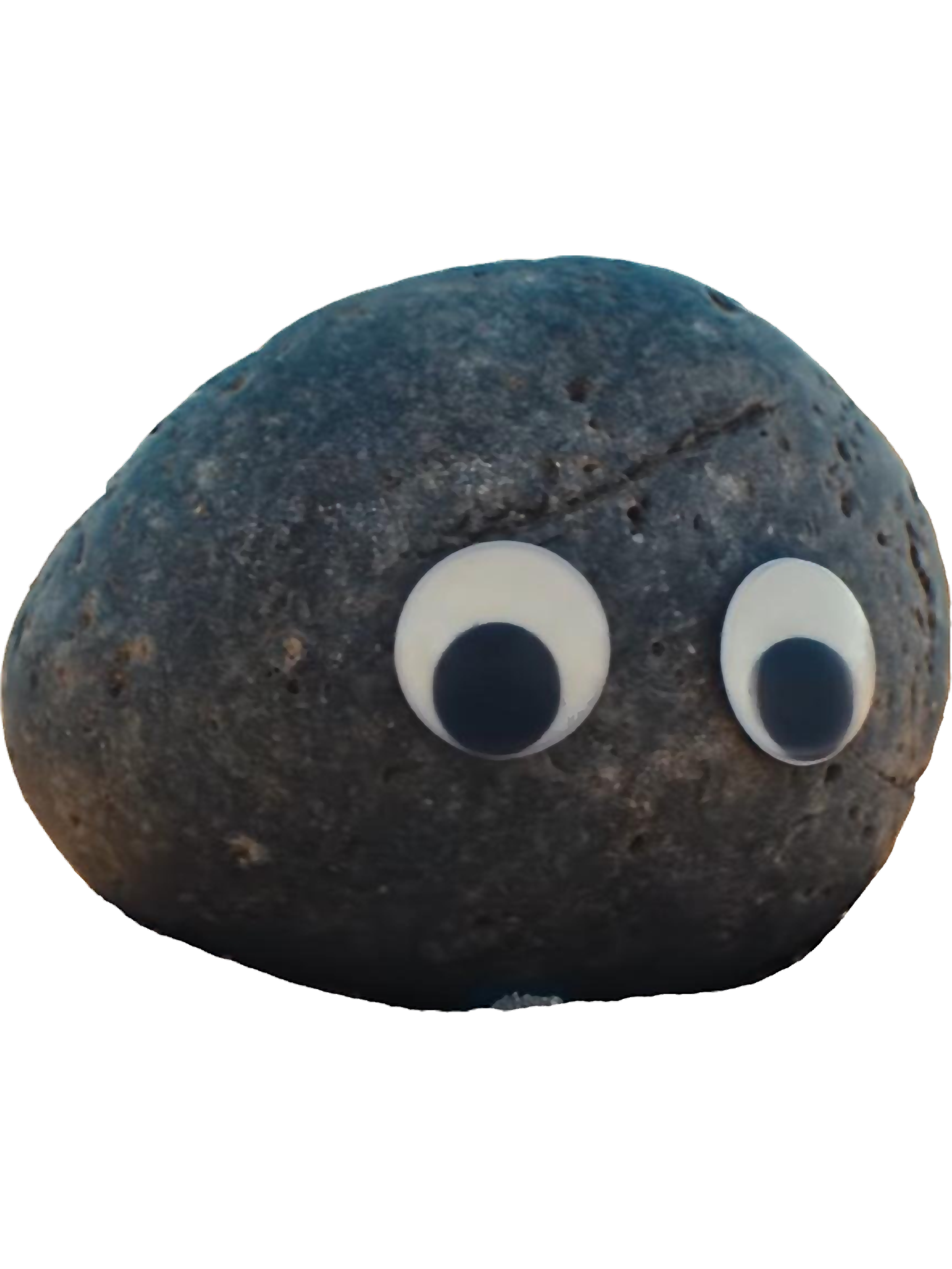 Image of the googely eyed rock from Everything Everywhere All at Once
