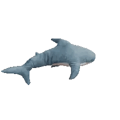 shark spinning sticker; Credit to Sillyrat on Neocities