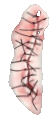 /guro