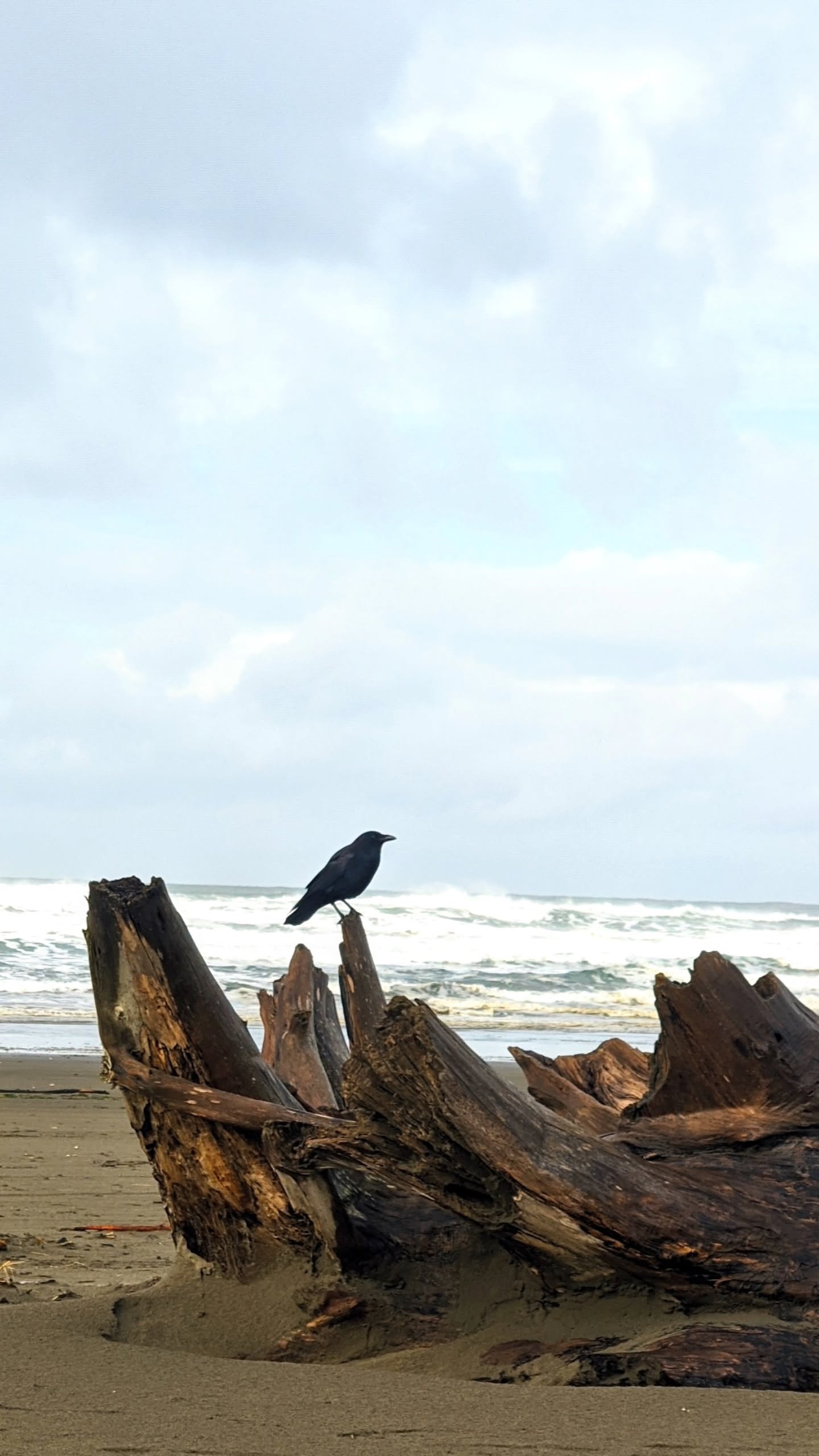  Westport, Wa