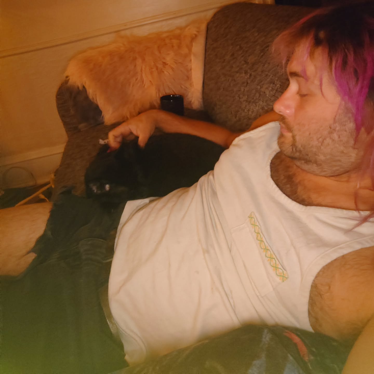  Cat Sitting