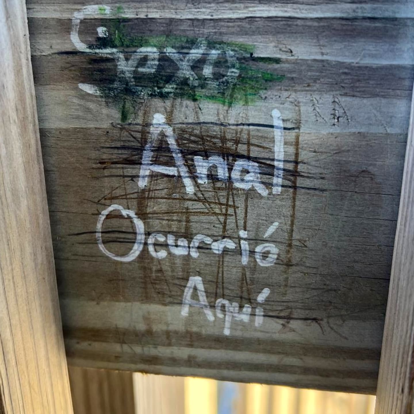  Visto en una playa de Puerto Rico.
