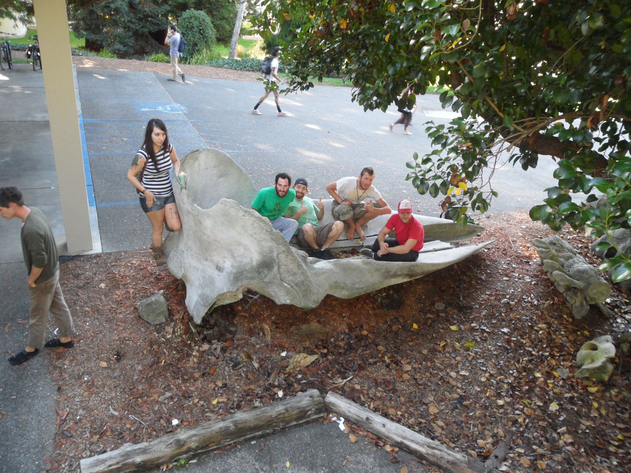  My friends inside of a Blue Whale skull! Arcata, Ca