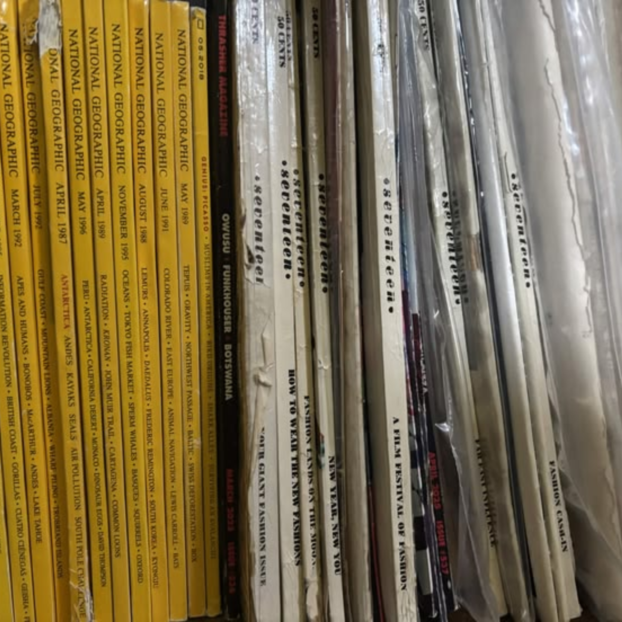 Magazine collection