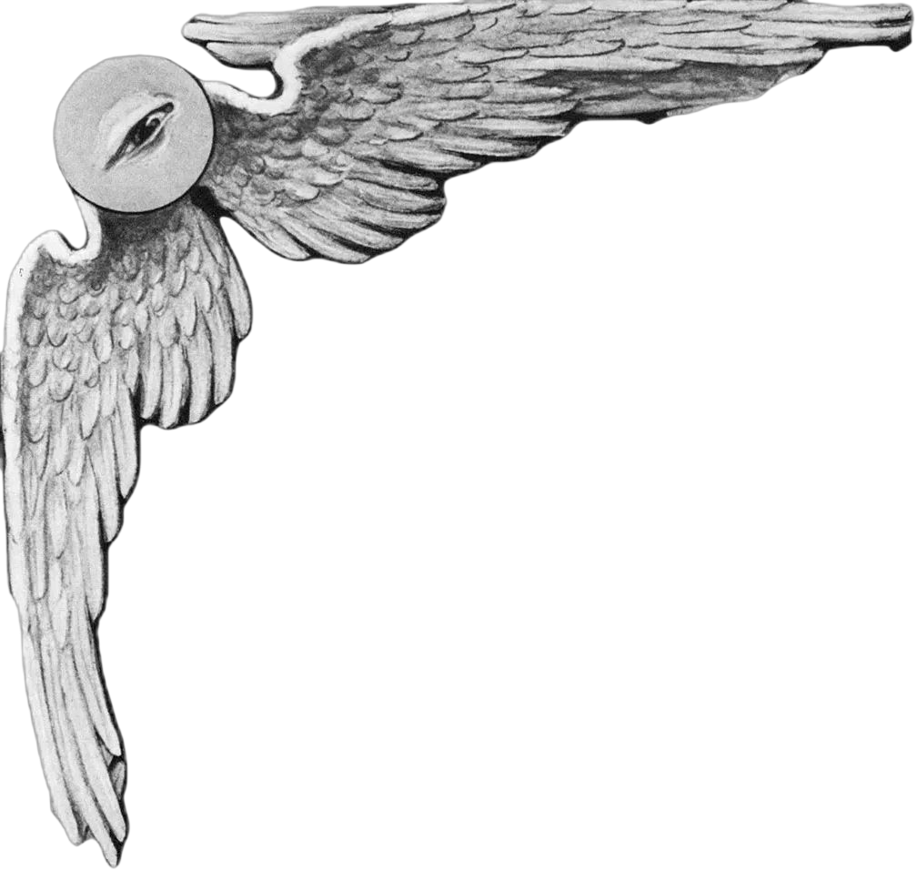 pin