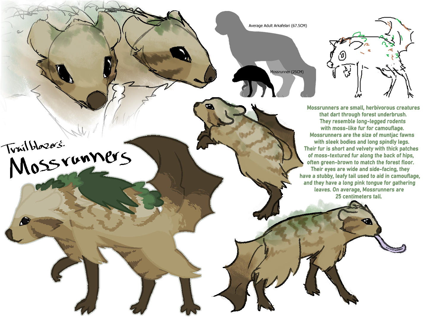 Mossrunner Visual Reference Sheet