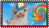 IMG_6629.png