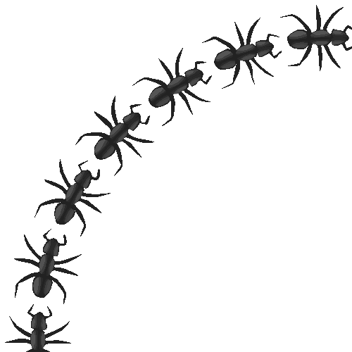 ants