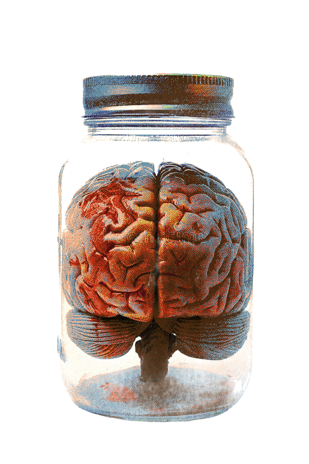 brain