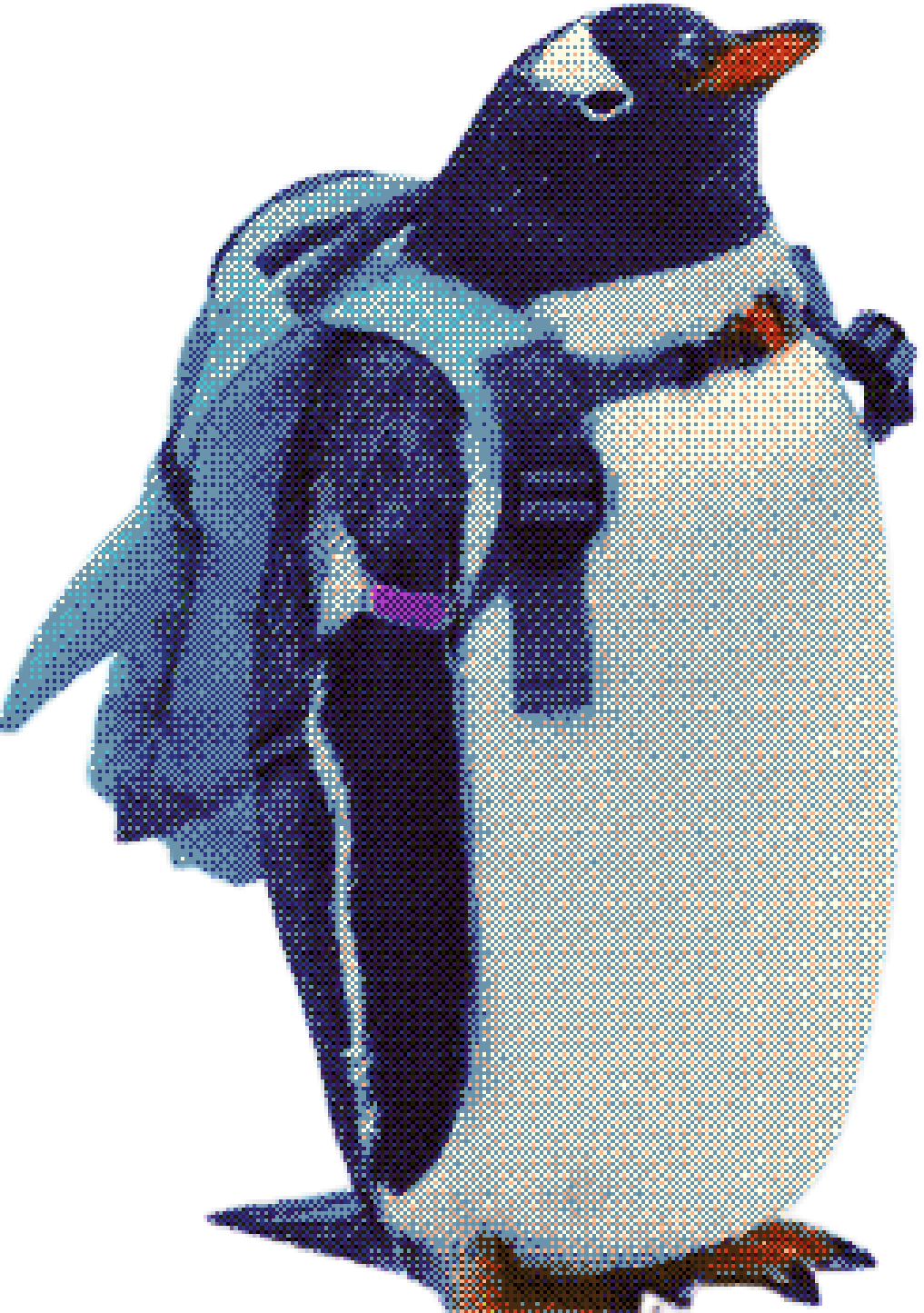 penguin