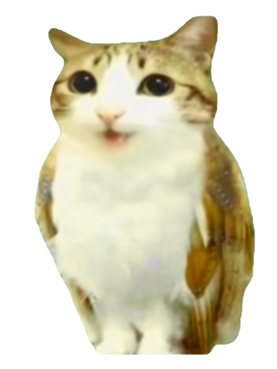 pagedollmeowl