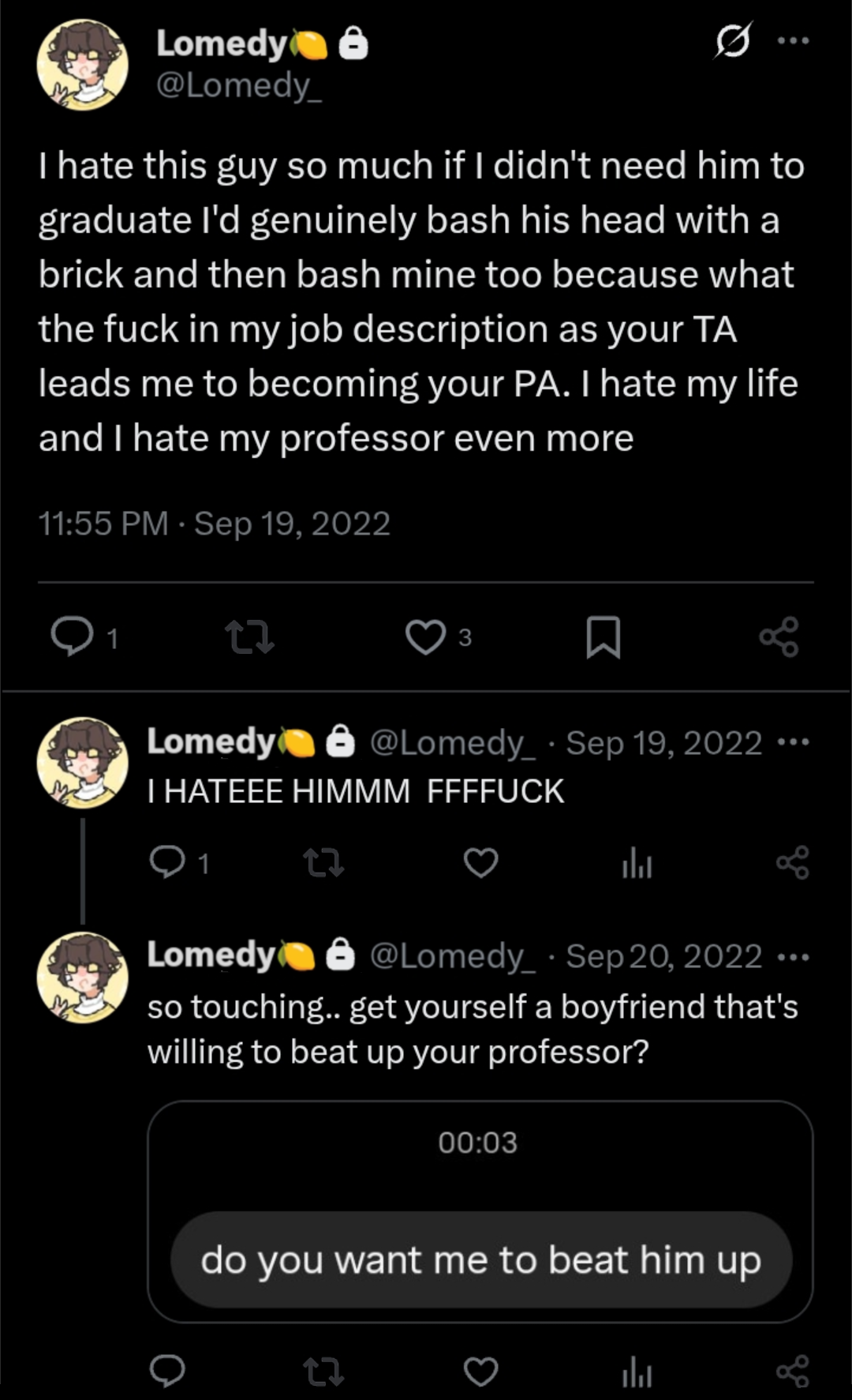 3.3