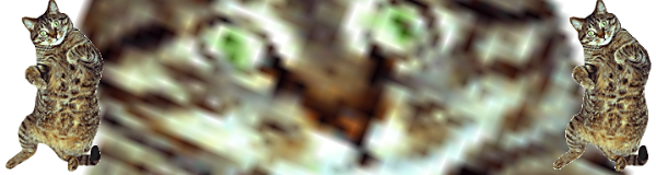 Mr. Milk's banner