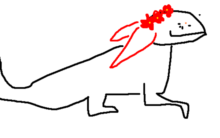 image2.png
