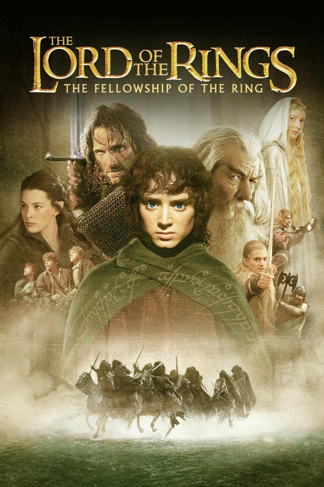 Media Cover 5