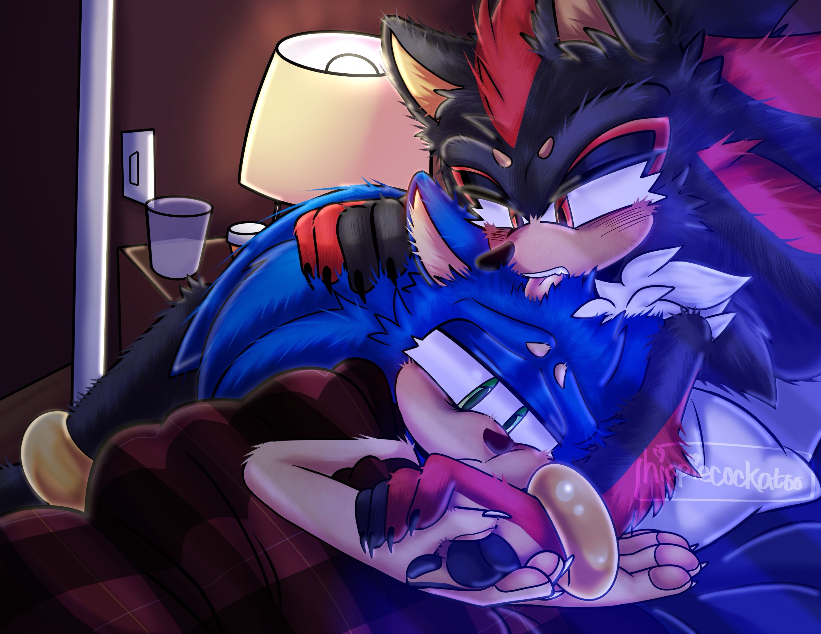 Shadow grooming Sonic