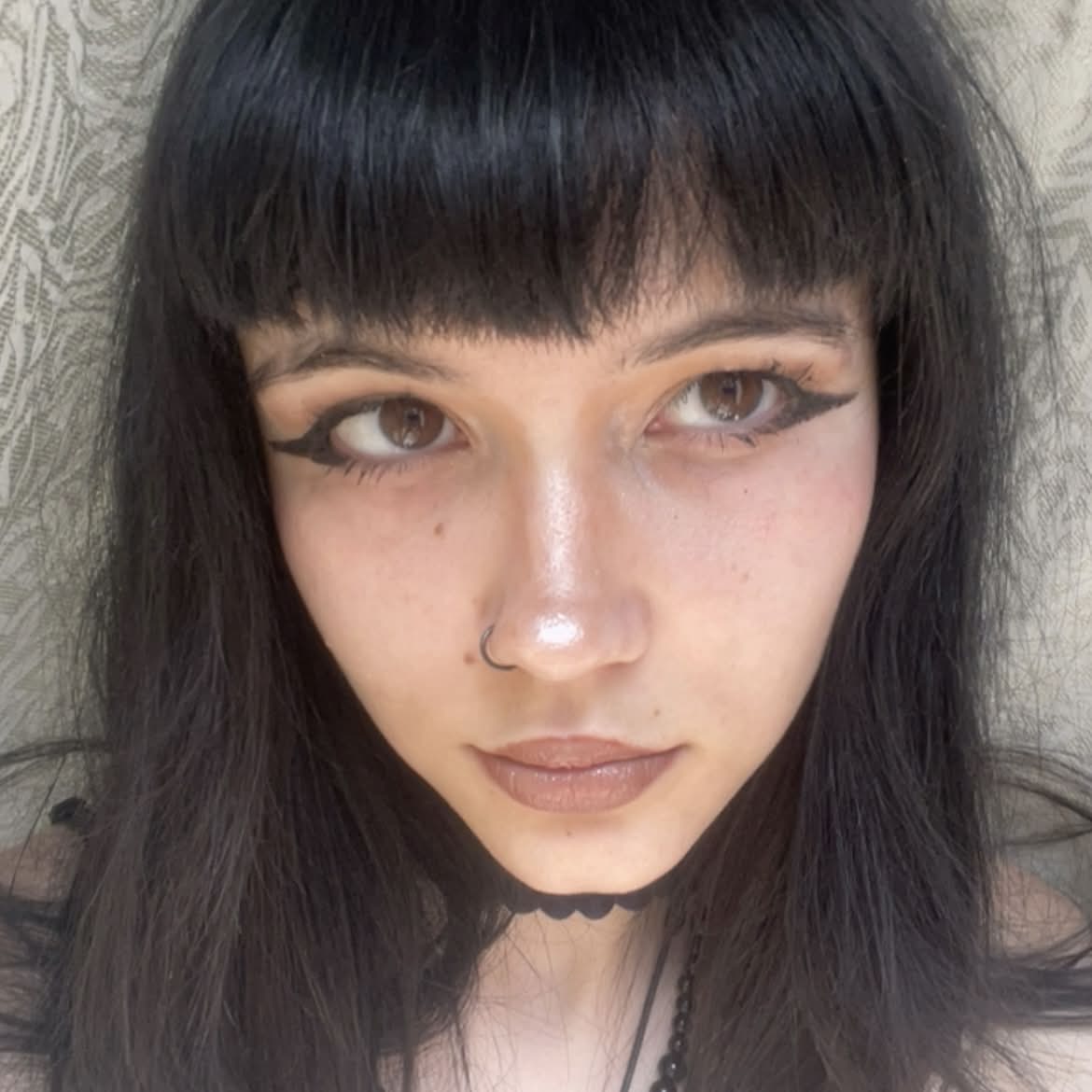 Xenia Icon
