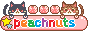 button 16