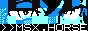 Button linking to msx.horse