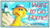 i wanna go home bigbird