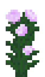 Peony