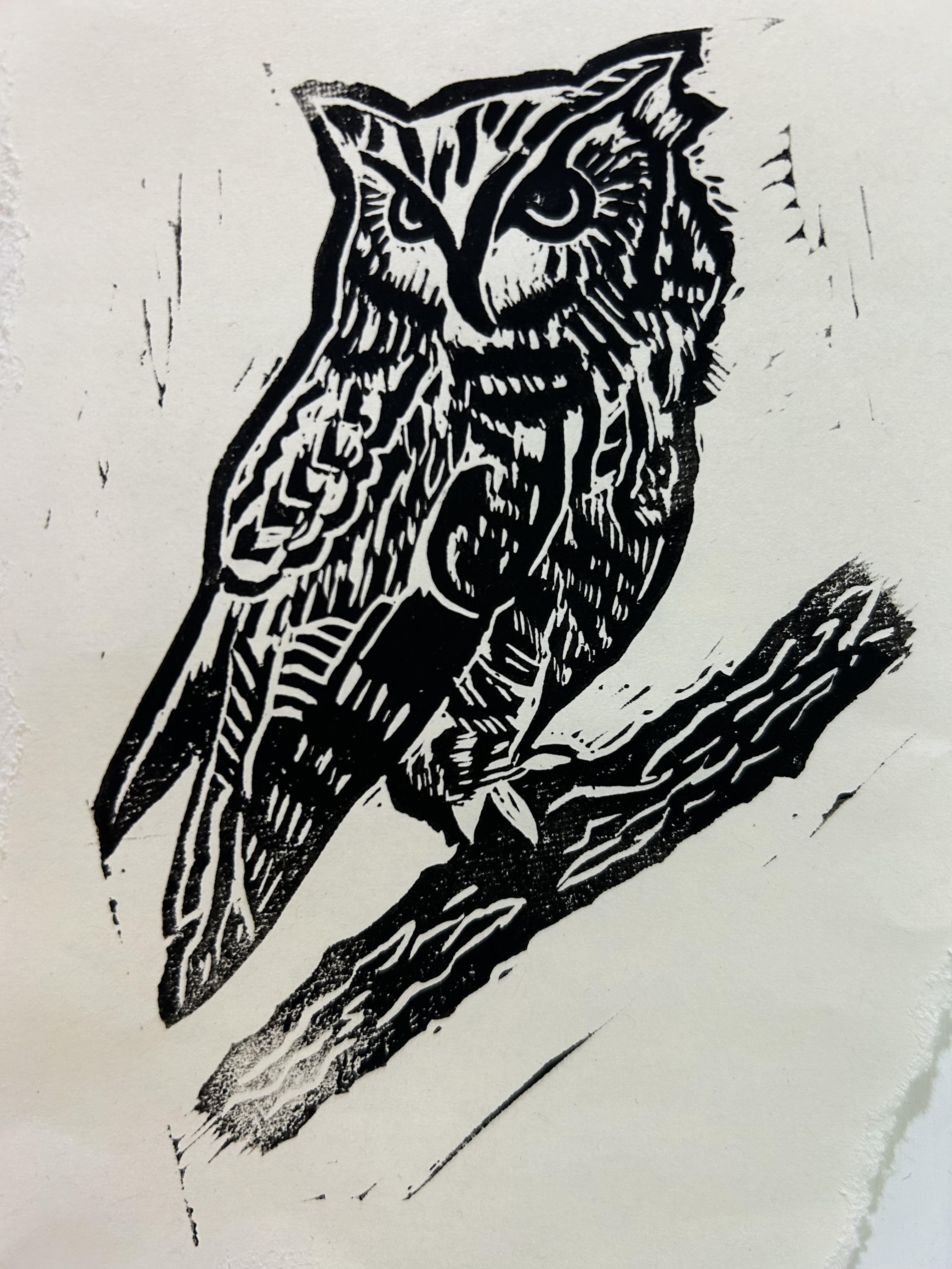 Eastern Screech Owl