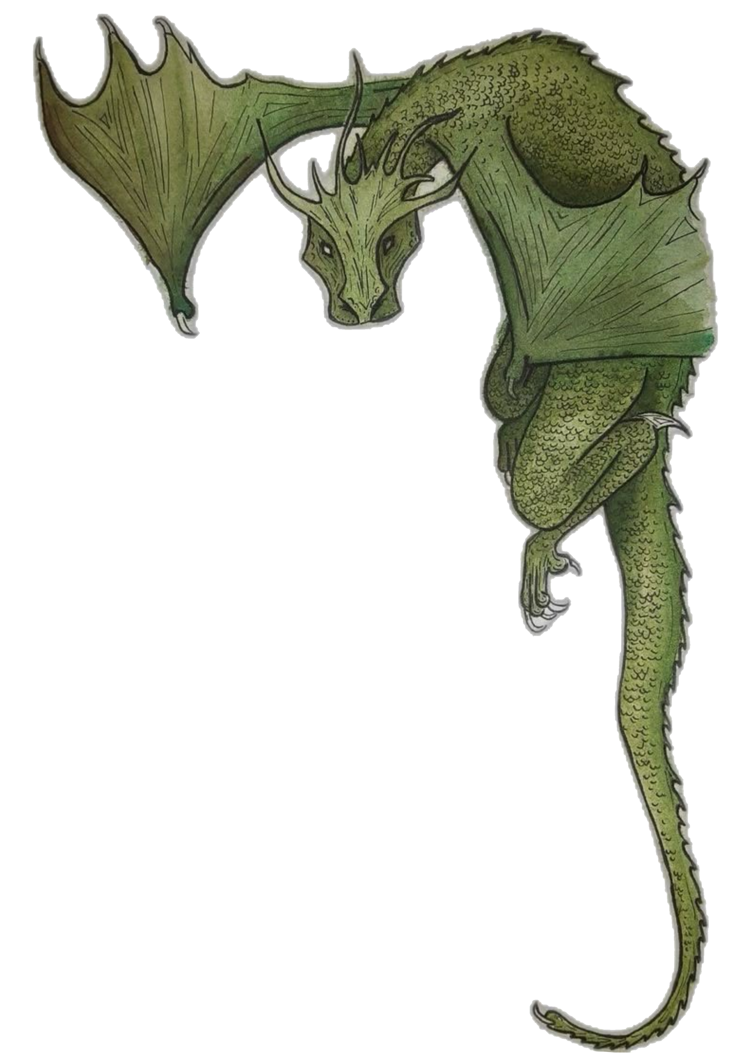 dragon