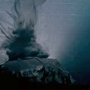 bellatrix lestrange