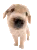 pixel
