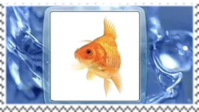 Sourced from: https://www.tumblr.com/saltysstamps/779479164692676609