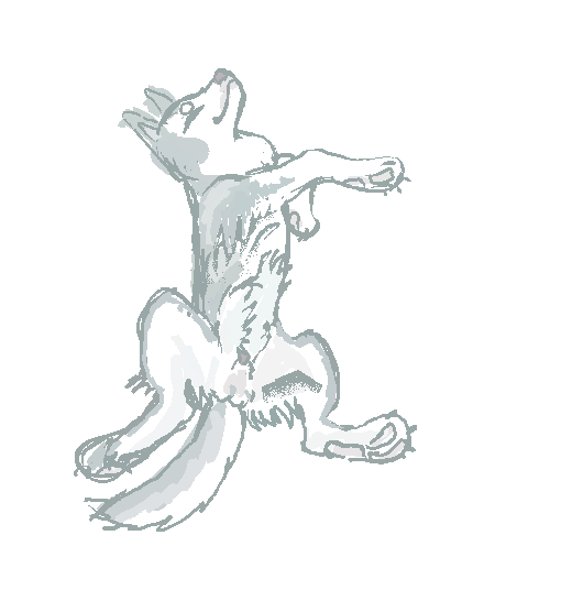 Drawing of a wolf by my Fidget.