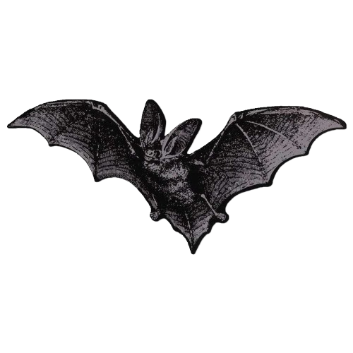 Little bat