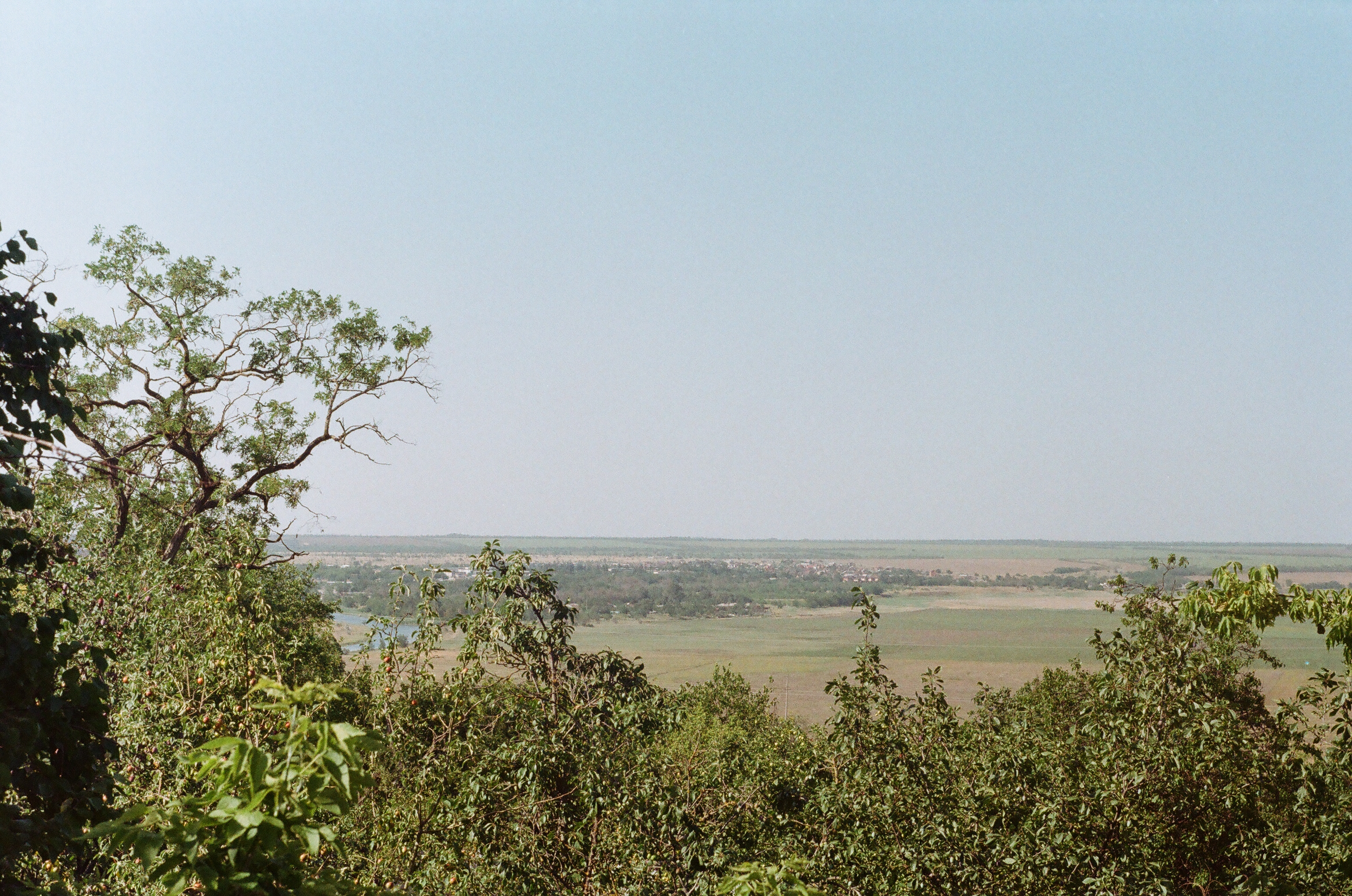 Steppe landscape
