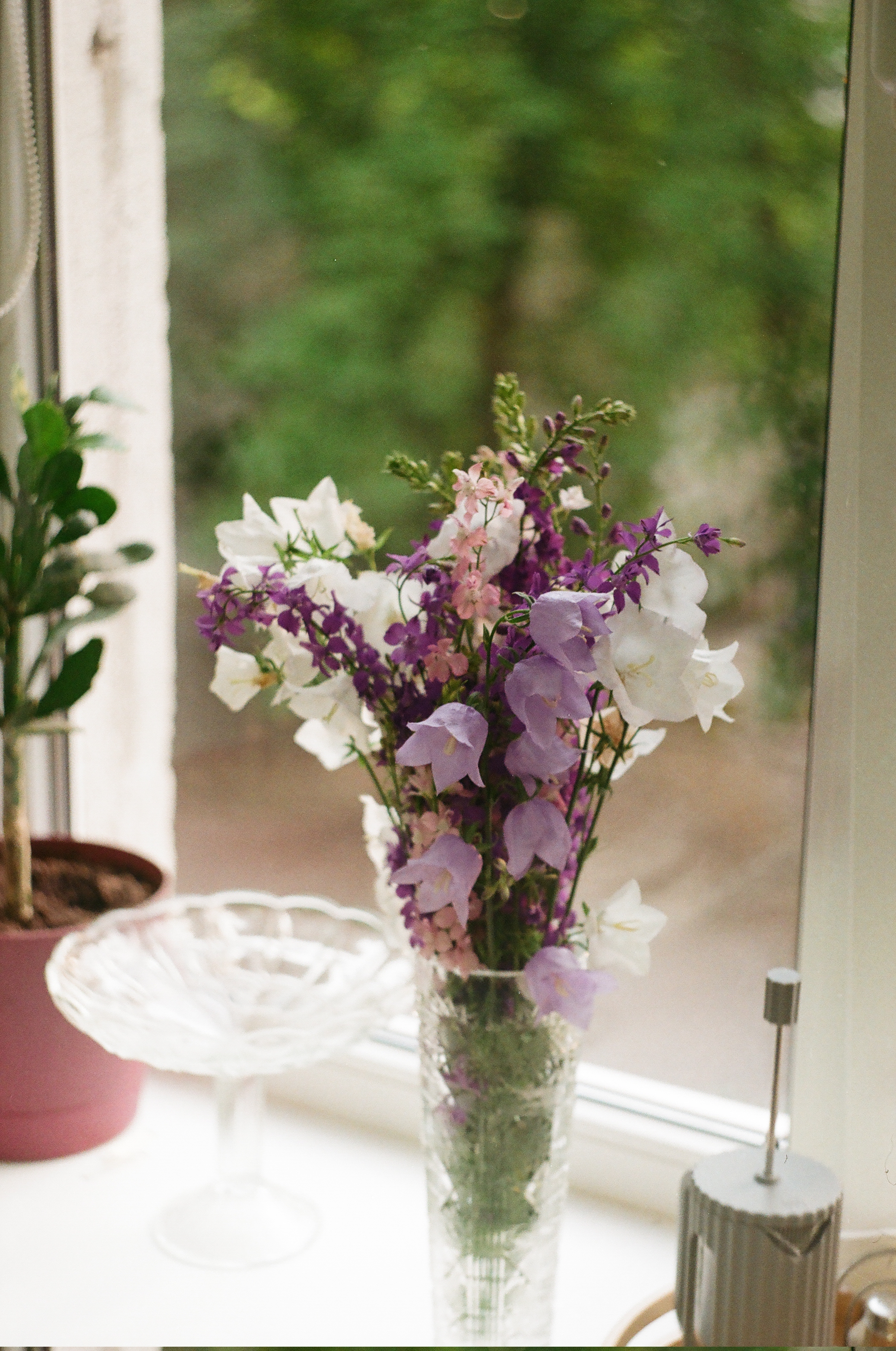 Some bell-looking flowers in a vase