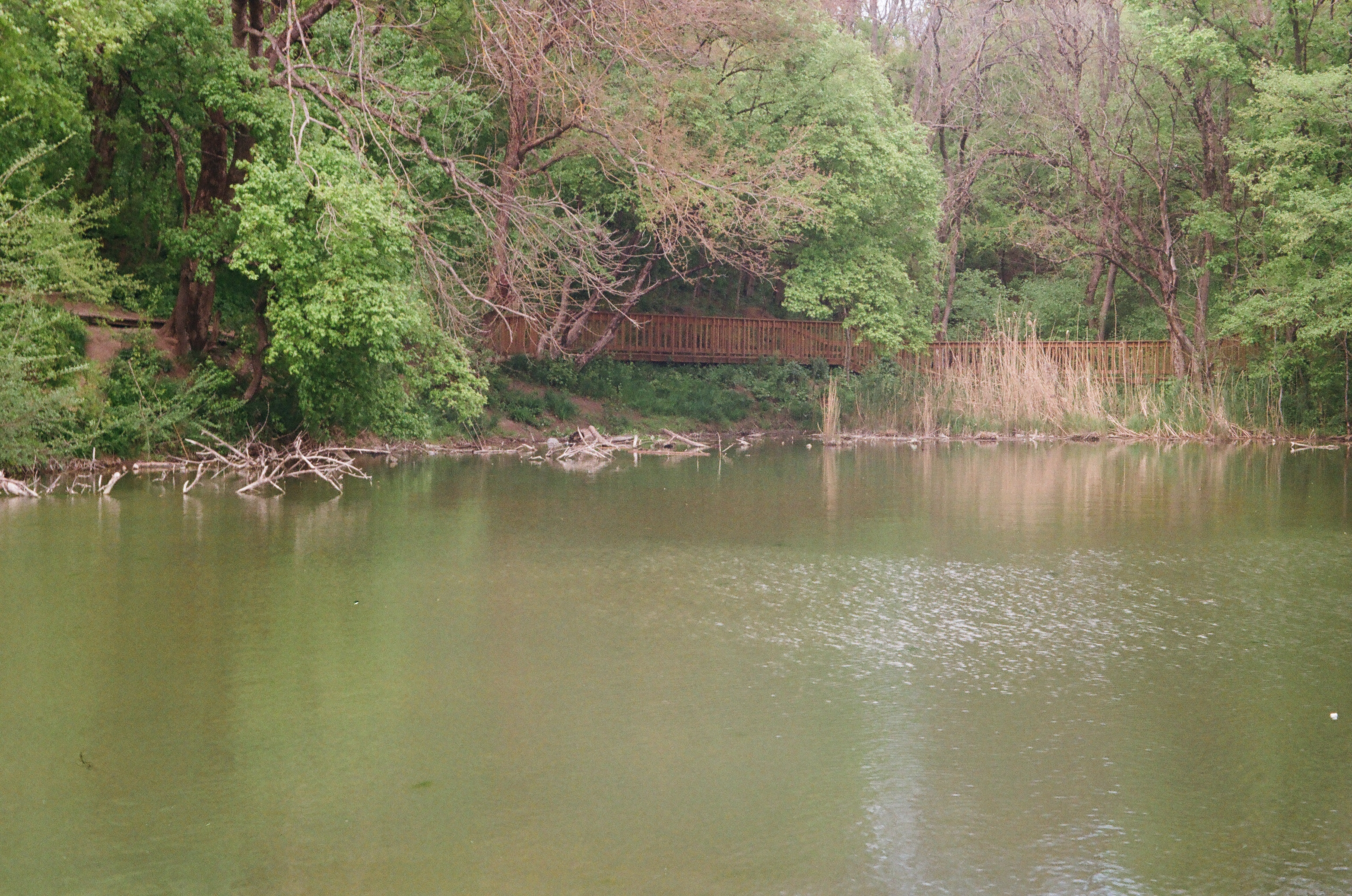 By the pond
