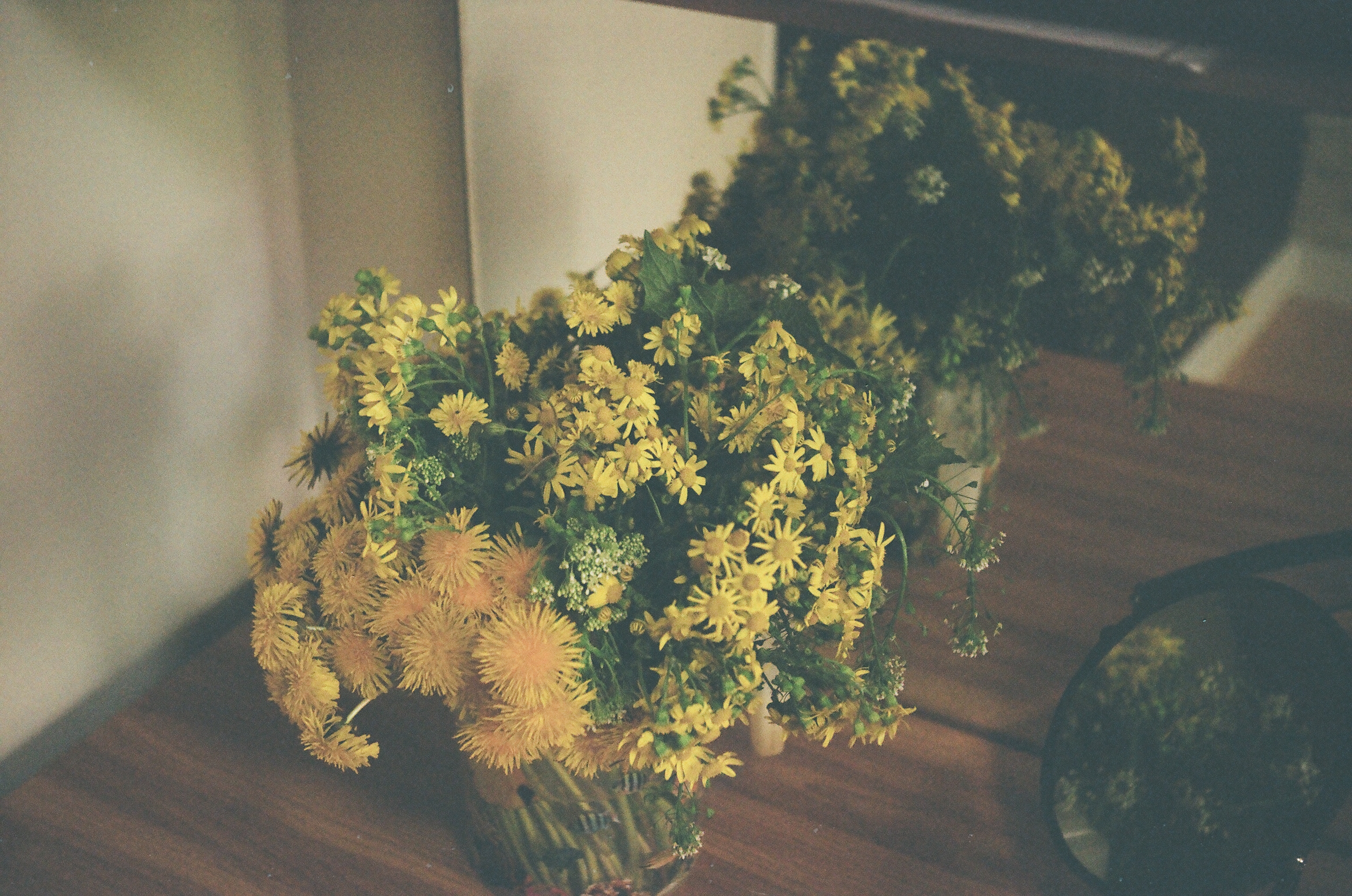 Still life with dandelions and some other yellow flowers