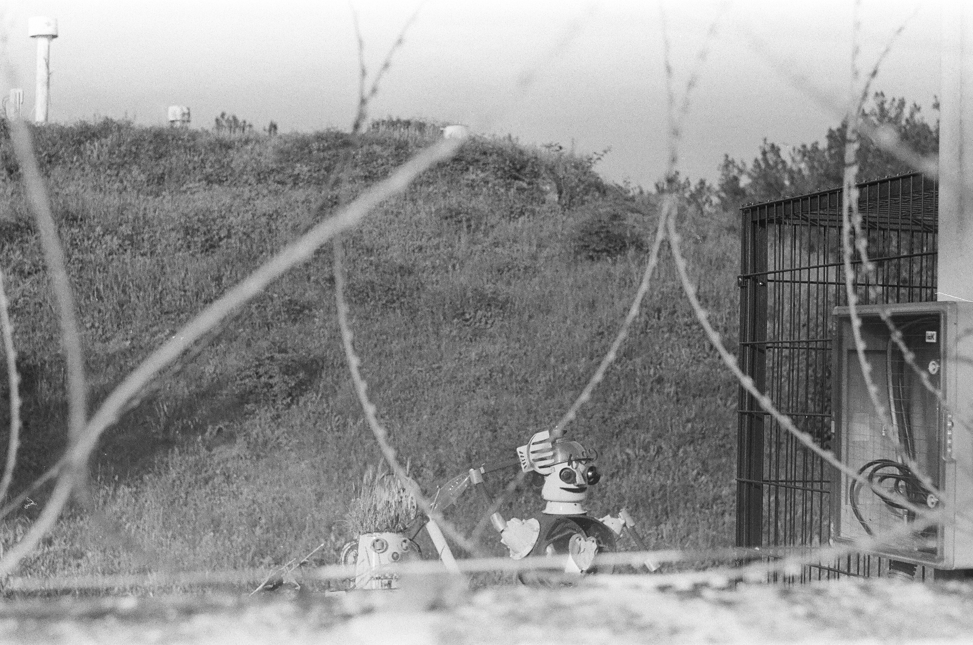 Strange figures behind the barbed wire
