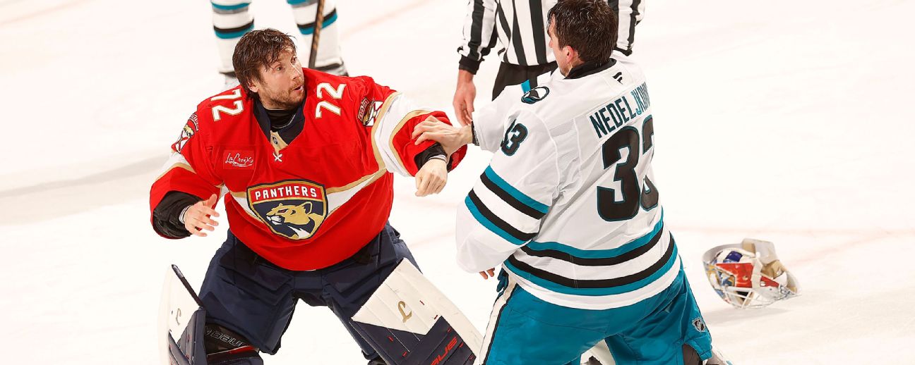 goalie fight goalie fight