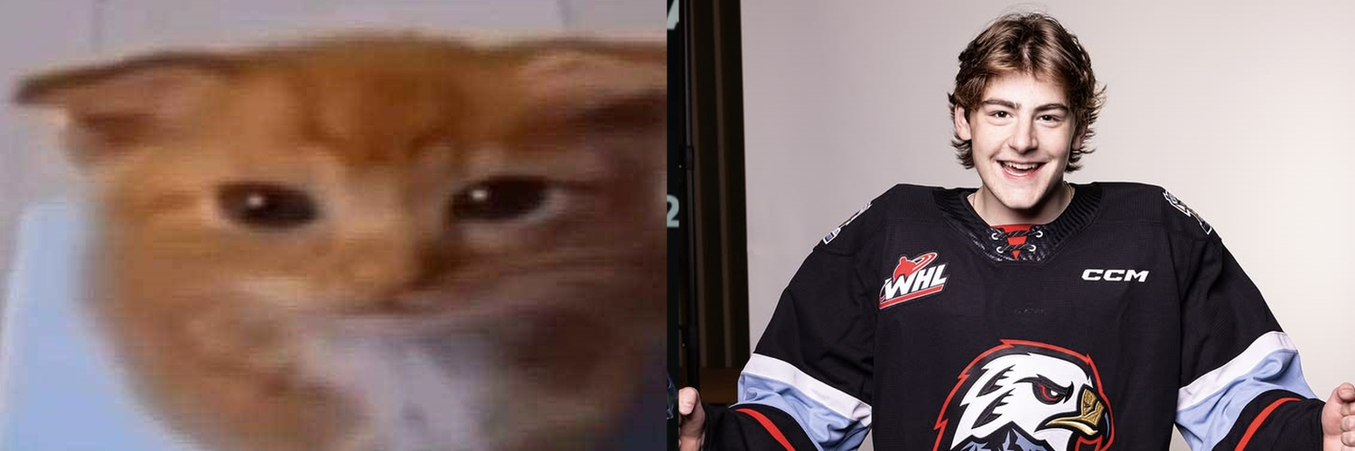 luca kitty luca kitty